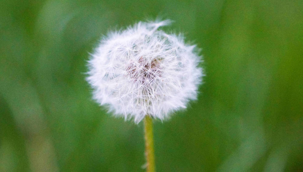 Umwelt, Ökologie, Klima     