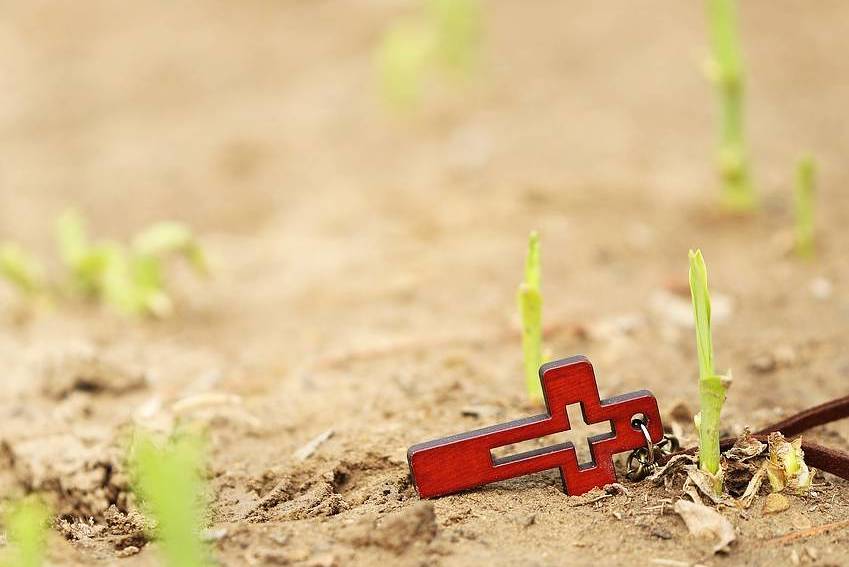 Kreuz und junger Trieb