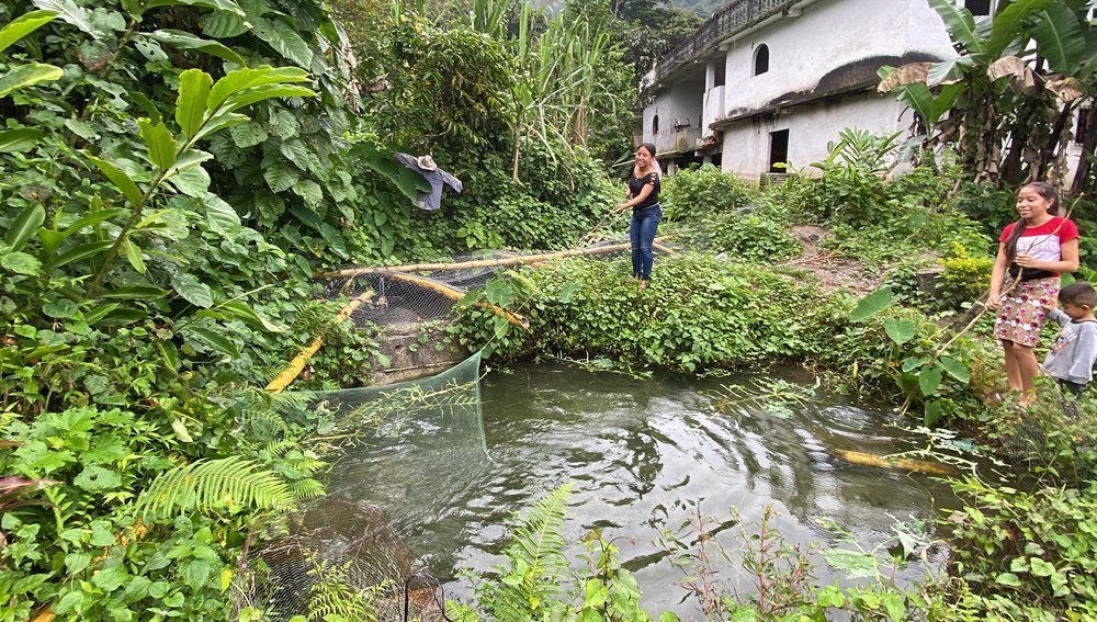 Fischzucht-Projekt der Dreikönigsaktion in Guatemala