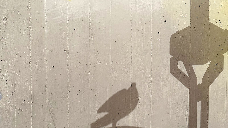 Diözesanmuseum Graz