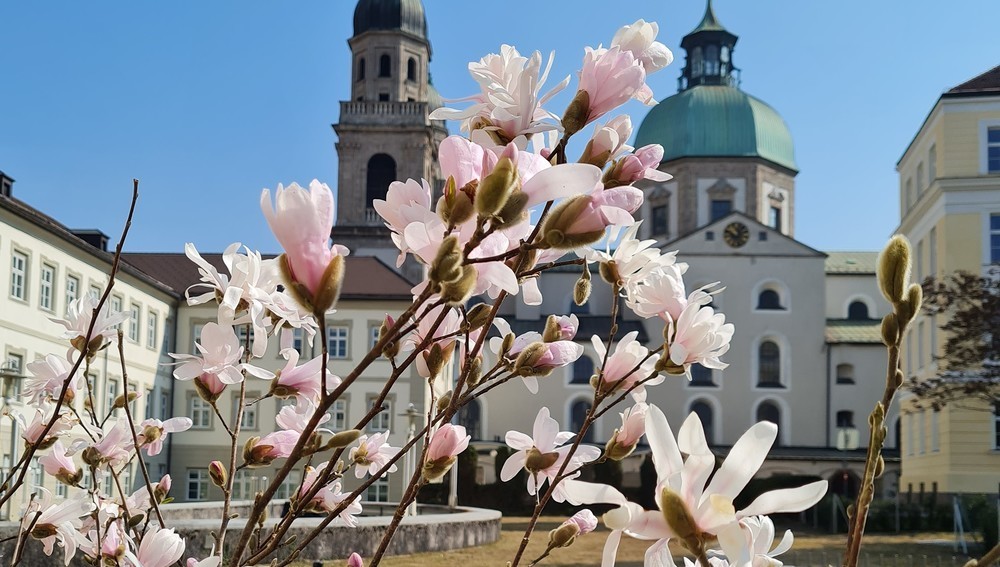 Katholisch-Theologische Fakultät der Universität Innsbruck