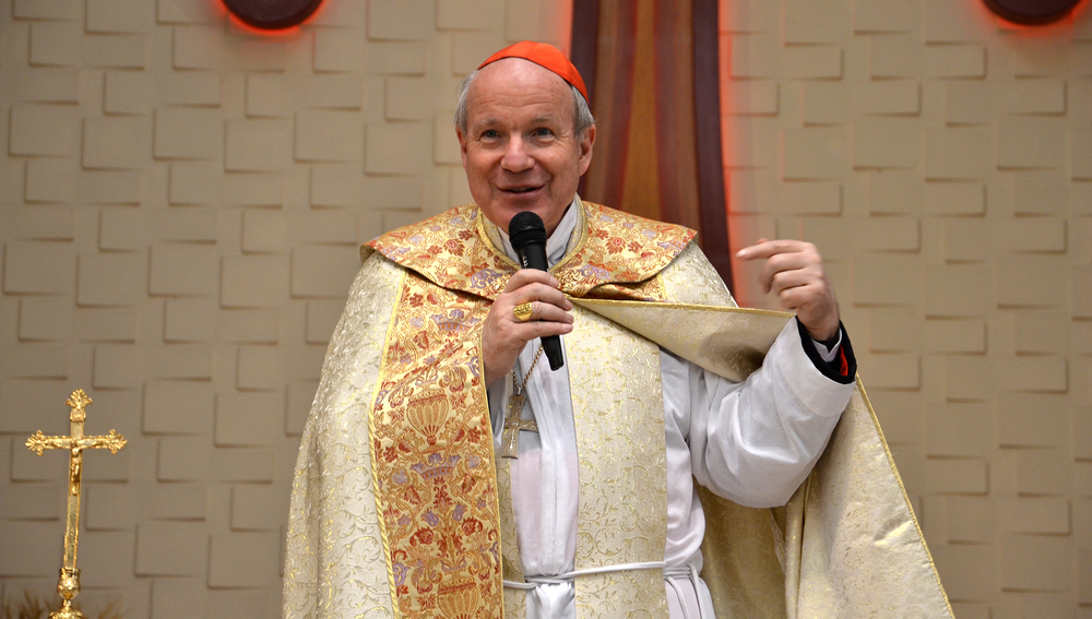 Kardinal Schönborn im Irak