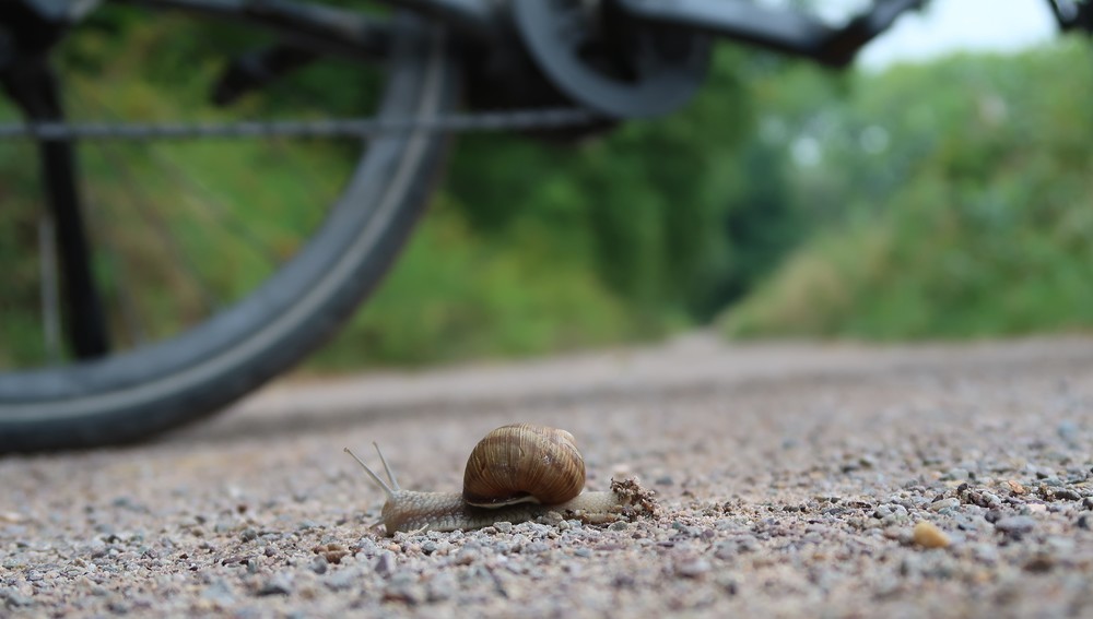 Umwelt Verkehr